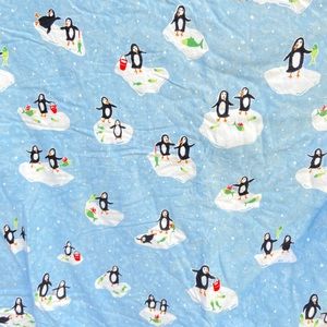 Garnet Hill Flannel Duvet Germany